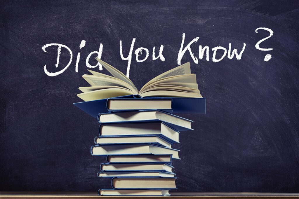 knowledge, books, board, stack, training, to learn, read, literature, school, information, blackboard, teaching, textbook, text, book stack, question mark, question, chalk, teaching, teaching, question mark, question mark, question mark, question, question, question, question, question