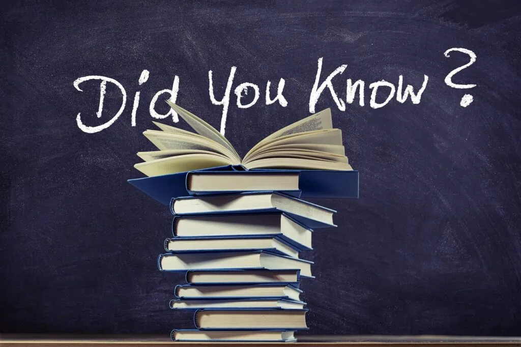 knowledge, books, board, stack, training, to learn, read, literature, school, information, blackboard, teaching, textbook, text, book stack, question mark, question, chalk, teaching, teaching, question mark, question mark, question mark, question, question, question, question, question